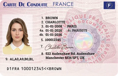 France Driver's License — Front