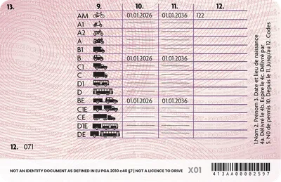 France Driver's License — Back